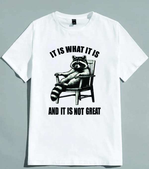 Funny Raccoon Meme T-Shirt, Sarcastic Saying Racoon Meme Shirt, Chillin Cartoon Tee