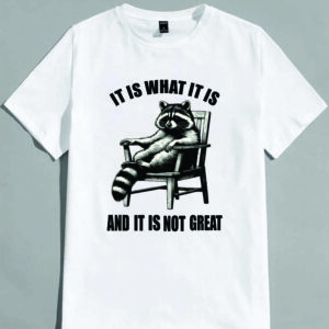 Funny Raccoon Meme T-Shirt, Sarcastic Saying Racoon Meme Shirt, Chillin Cartoon Tee