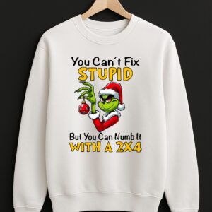 You Can't Fix Stupid Grinh Sweatshirt, Christmas Grinch Lover Jumper, Unisex Top