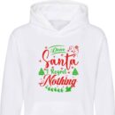 Santa Funny Christmas Hoodie