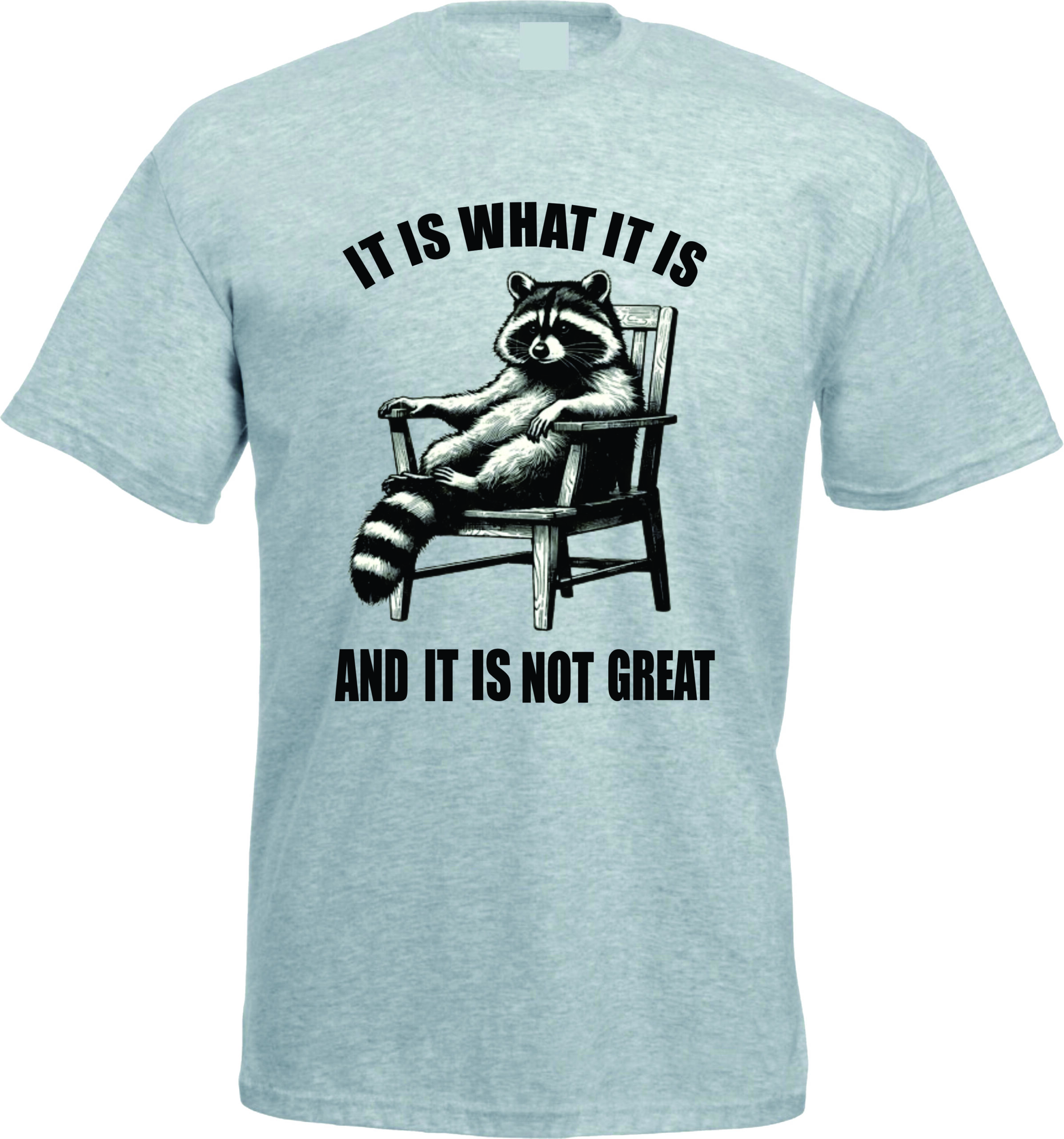 It Is What It Is Raccoon T-Shirt - Image 2
