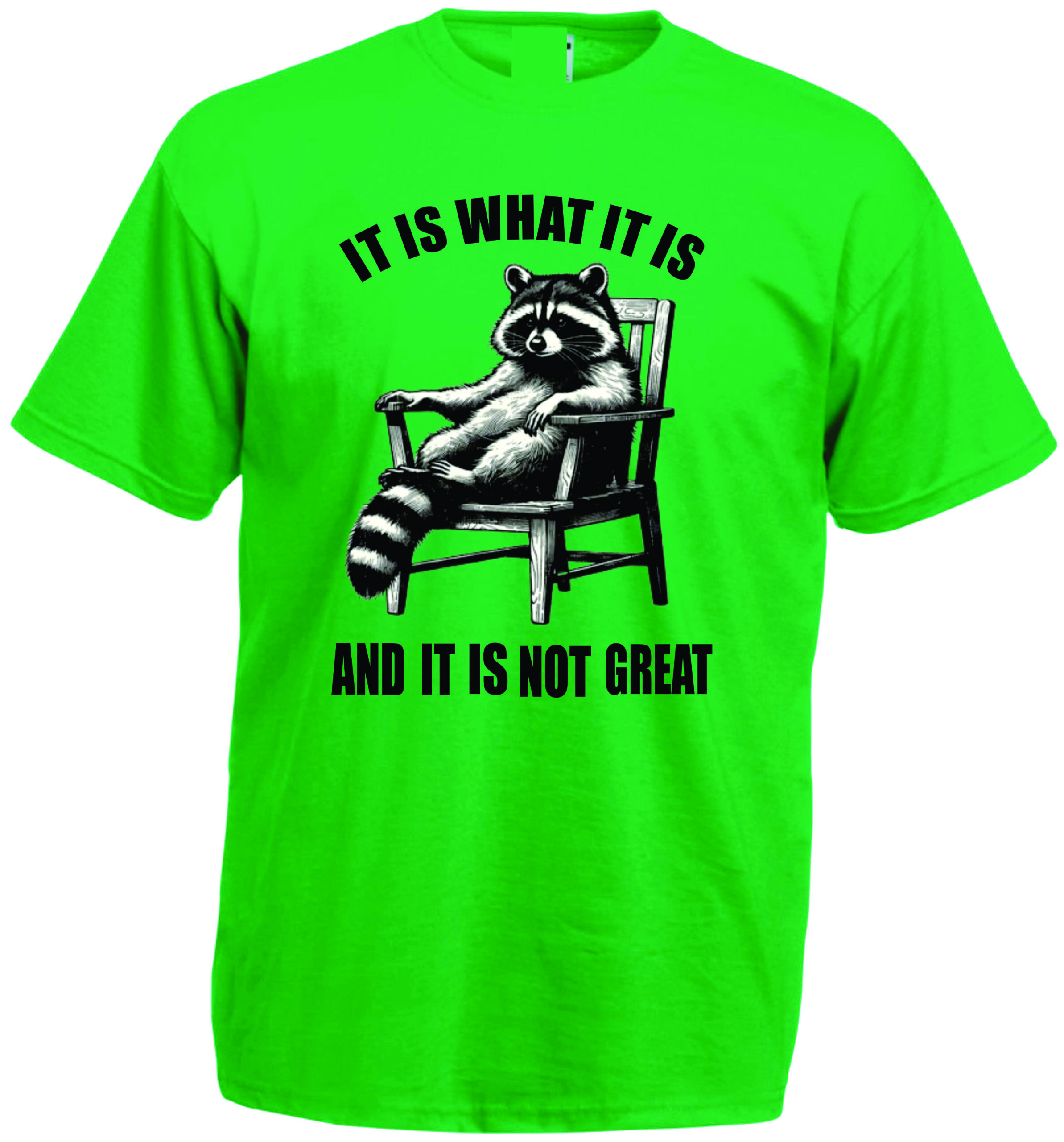It Is What It Is Raccoon T-Shirt - Image 3