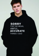 Sorry for the Accurate Things Hoodie
