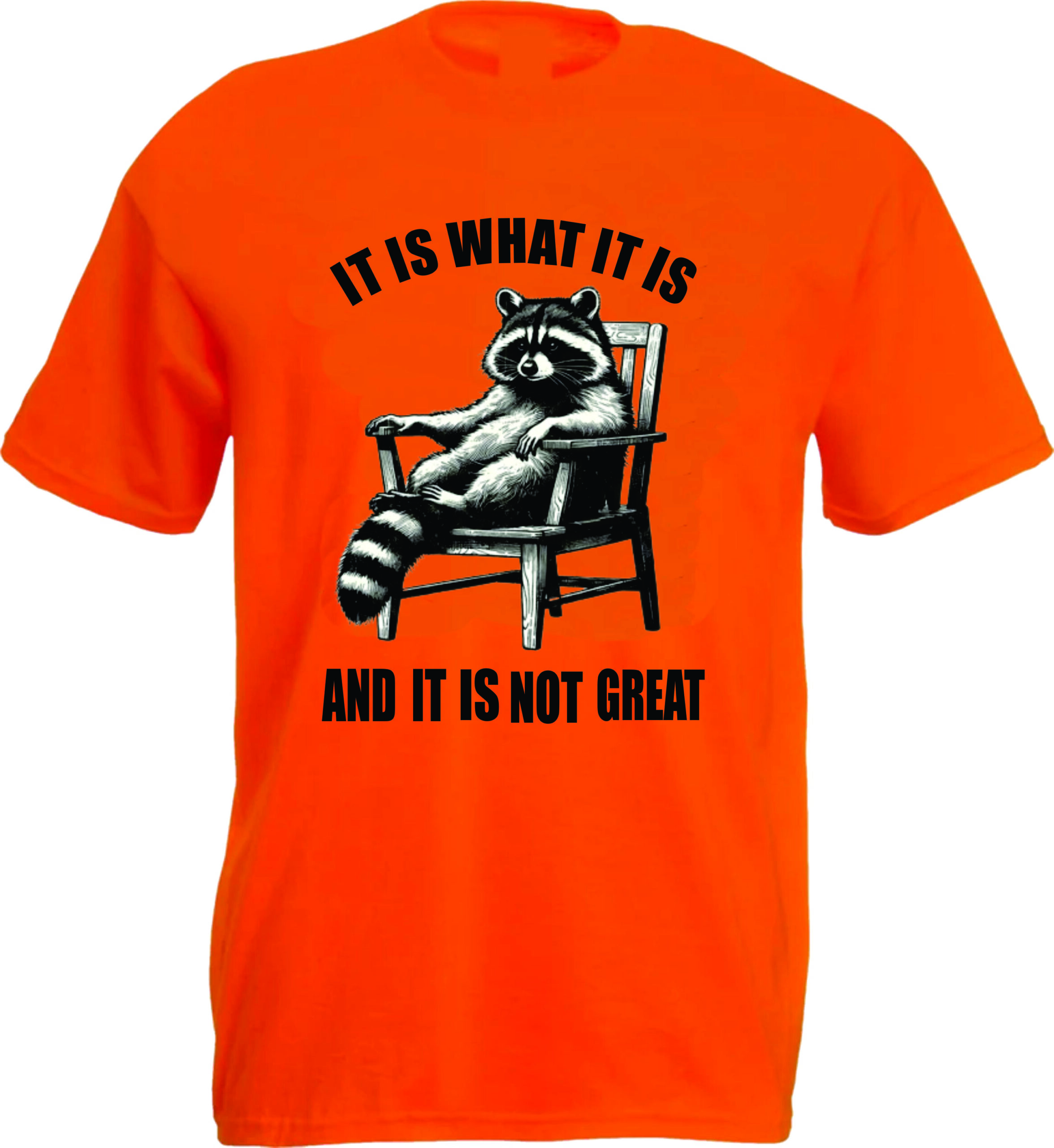 It Is What It Is Raccoon T-Shirt - Image 4