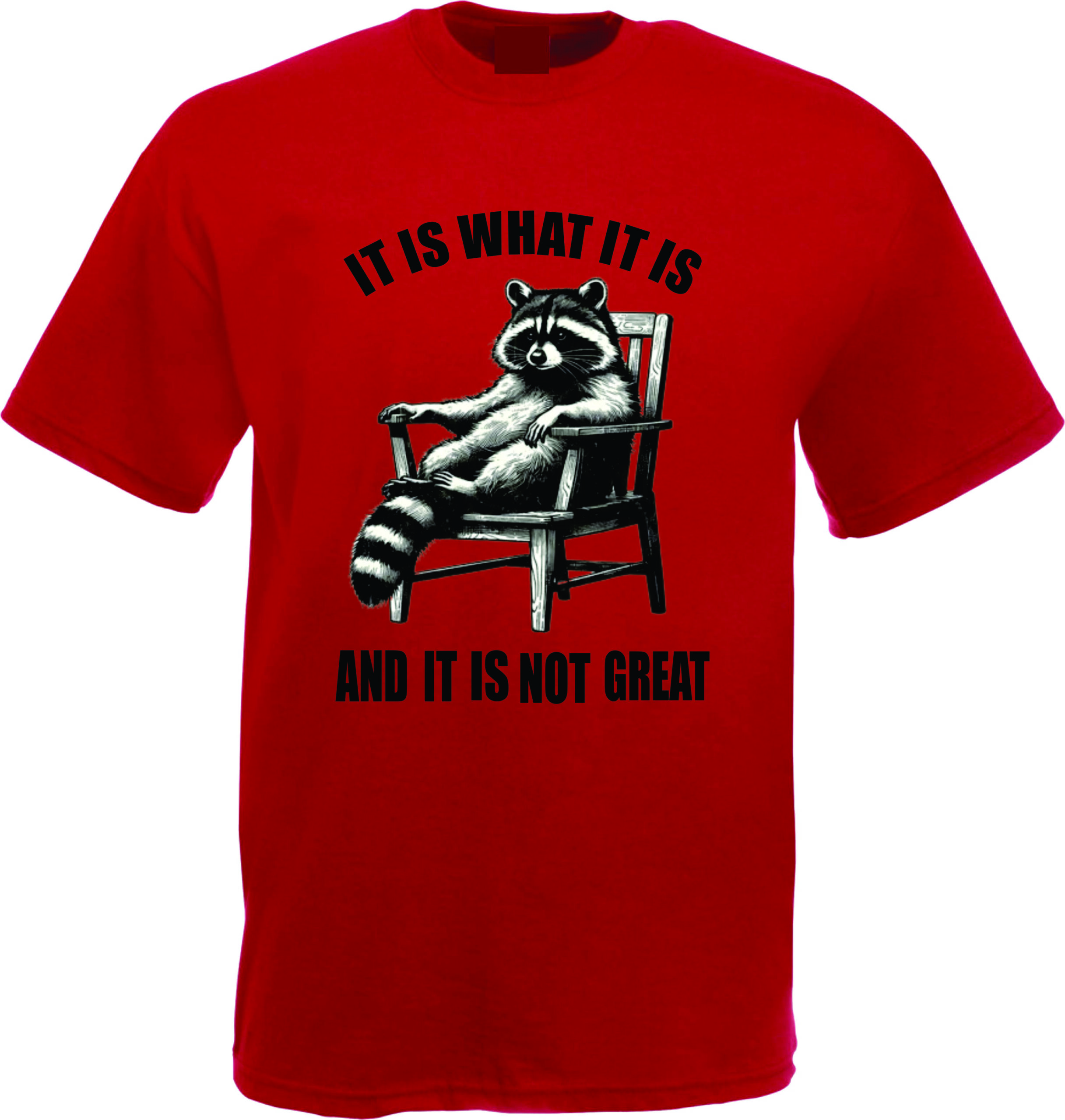 It Is What It Is Raccoon T-Shirt - Image 5