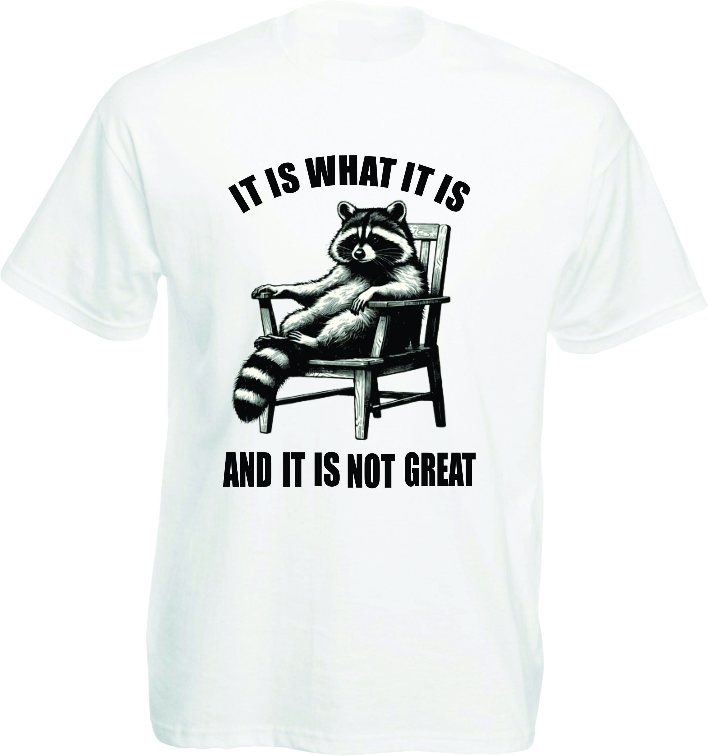 It Is What It Is Raccoon T-Shirt - Image 6